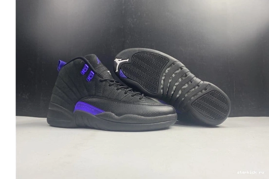 CT8013-005 12 Dark CT8013-005 Concord Air Black Jordan Retro 1031